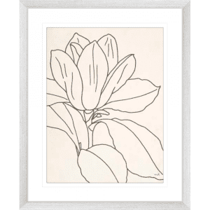 'Magnolia' Line Drawing 02 | Silver Framed Artwork