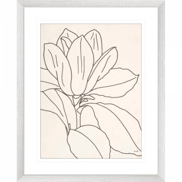 'Magnolia' Line Drawing 02 | Silver Framed Artwork