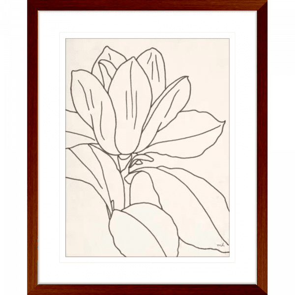 'Magnolia' Line Drawing 02 | Teak Framed Artwork