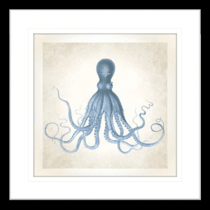 Octopus' Sea Life 01 | Black Framed Artwork