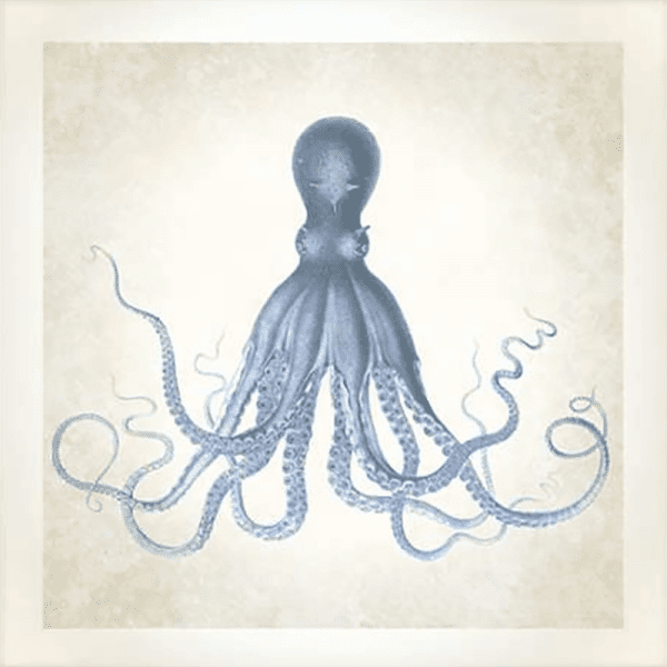 Octopus' Sea Life 01 | Paper Print