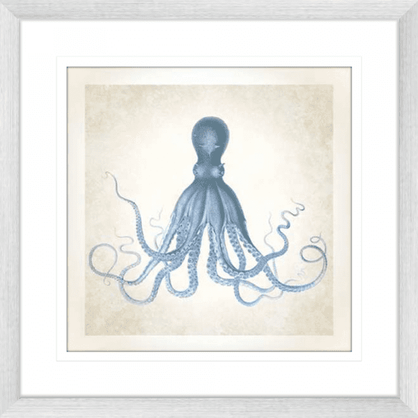 Octopus' Sea Life 01 | Silver Framed Artwork