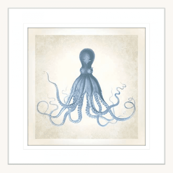 Octopus' Sea Life 01 | White Framed Artwork