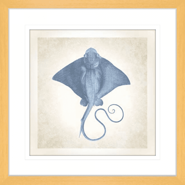 Stingray’ Sea Life 02 | Oak Framed Artwork