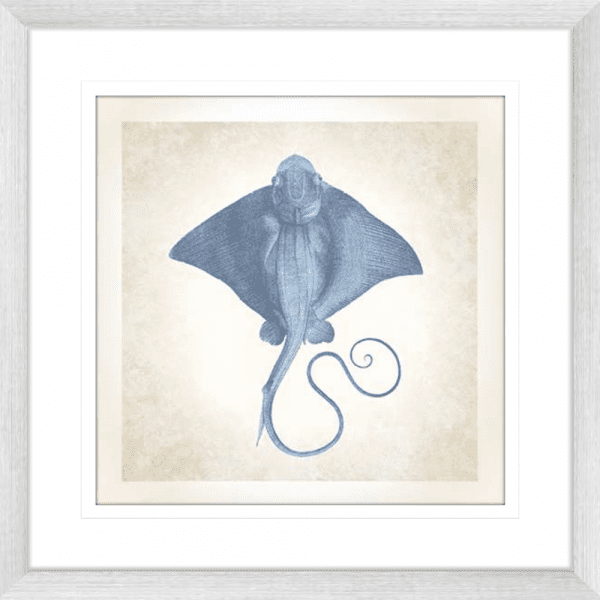 Stingray’ Sea Life 02 | Silver Framed Artwork
