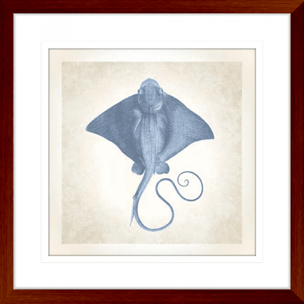 Stingray’ Sea Life 02 | Teak Framed Artwork