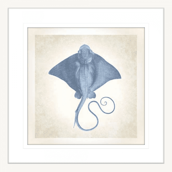 Stingray’ Sea Life 02 | White Framed Artwork
