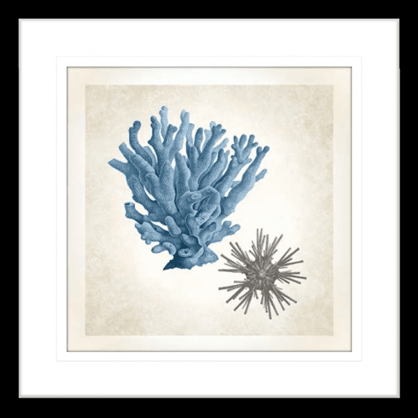 Coral Sea Life 03 | Black Framed Artwork