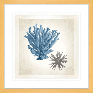 Coral Sea Life 03 | Oak Framed Artwork