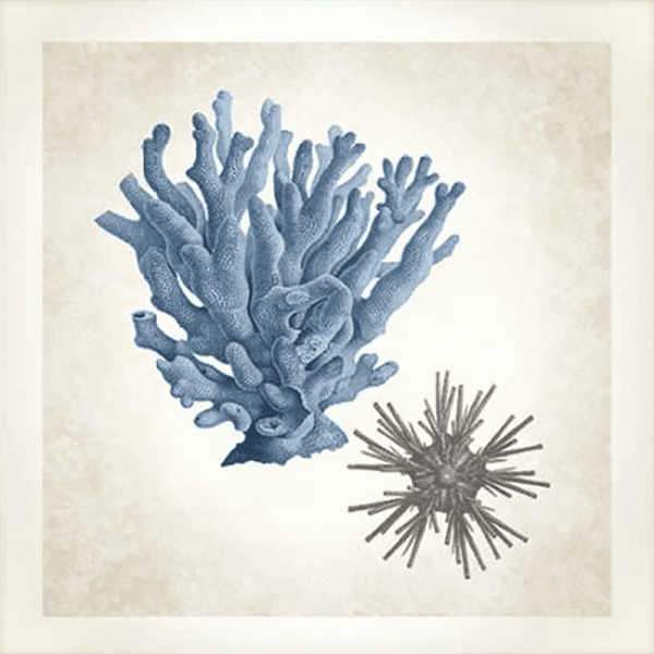 Coral Sea Life 03 | Paper Print