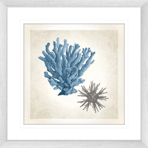 Coral Sea Life 03 | Silver Framed Artwork