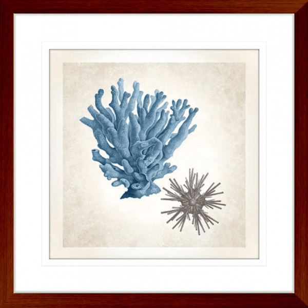 Coral Sea Life 03 | Teak Framed Artwork