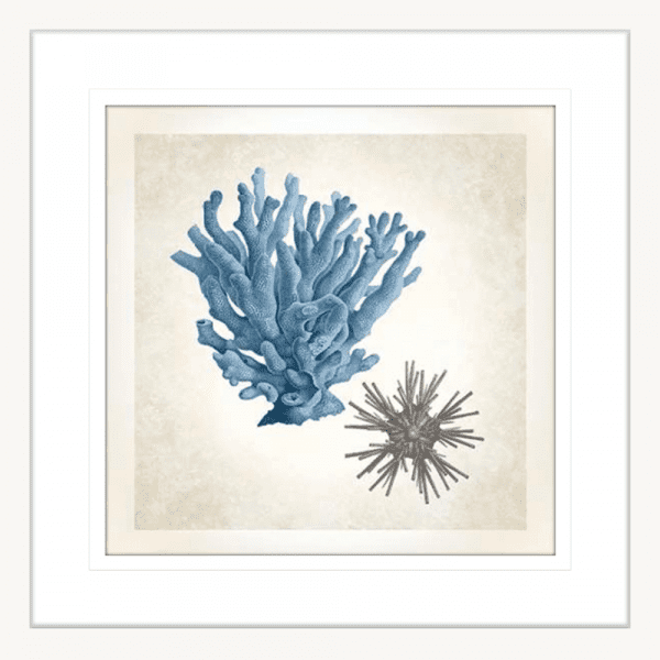 Coral Sea Life 03 | White Framed Artwork
