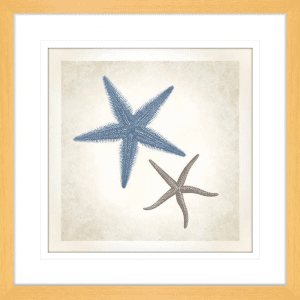 Starfish Sea Life 04 | Oak Framed Artwork