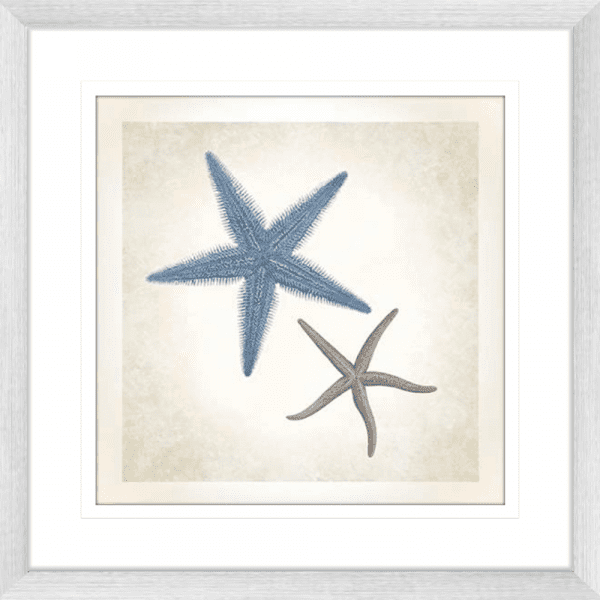 Starfish Sea Life 04 | Silver Framed Artwork