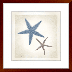 Starfish Sea Life 04 | Teak Framed Artwork