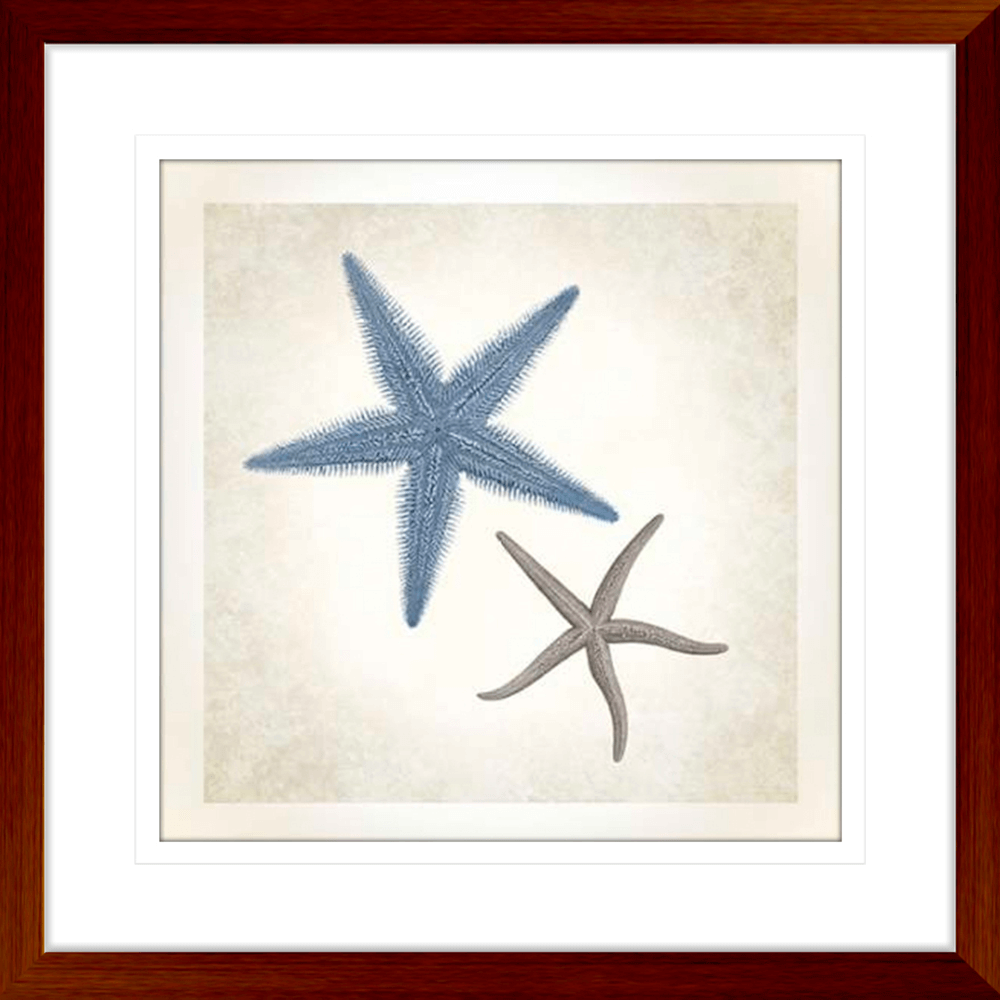 ‘Starfish’ Sea Life #04 - Mint Art Co