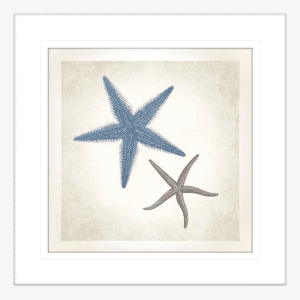 Starfish Sea Life 04 | White Framed Artwork