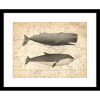 Whale Constellation 01 | Black Framed Artwork