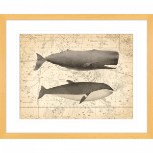 Whale Constellation 01 | Oak Framed Artwork