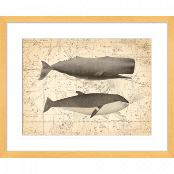 Whale Constellation 01 | Oak Framed Artwork