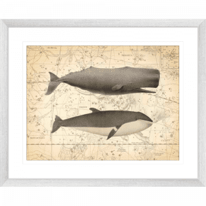 Whale Constellation 01 | Silver Framed Artwork