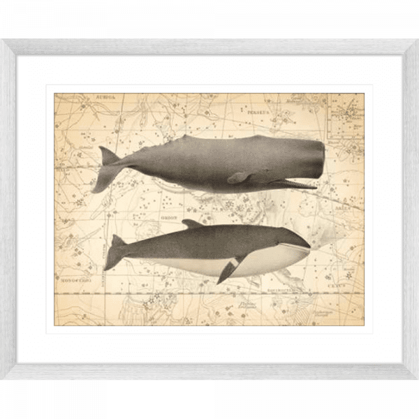 Whale Constellation 01 | Silver Framed Artwork