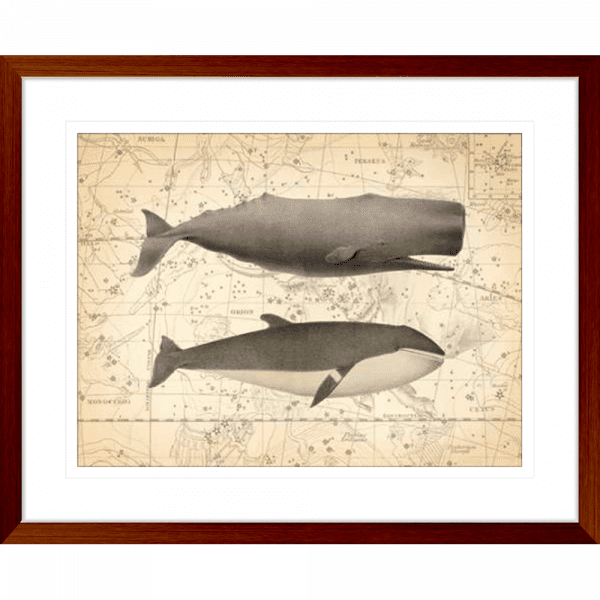 Whale Constellation 01 | Teak Framed Artwork