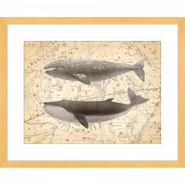 Whale Constellation 02 | Oak Framed Artwork
