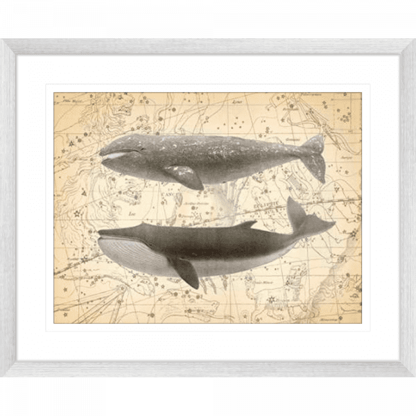Whale Constellation 02 | Silver Framed Artwork