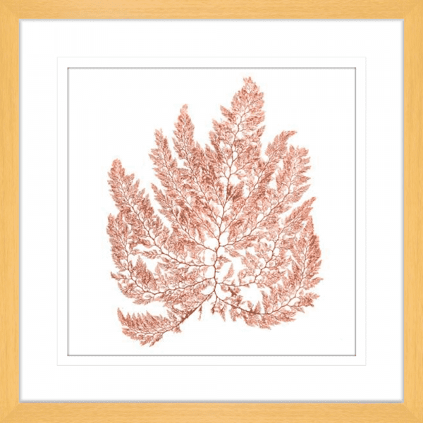 Pacific Sea Moss 04 | Oak Framed Artwork