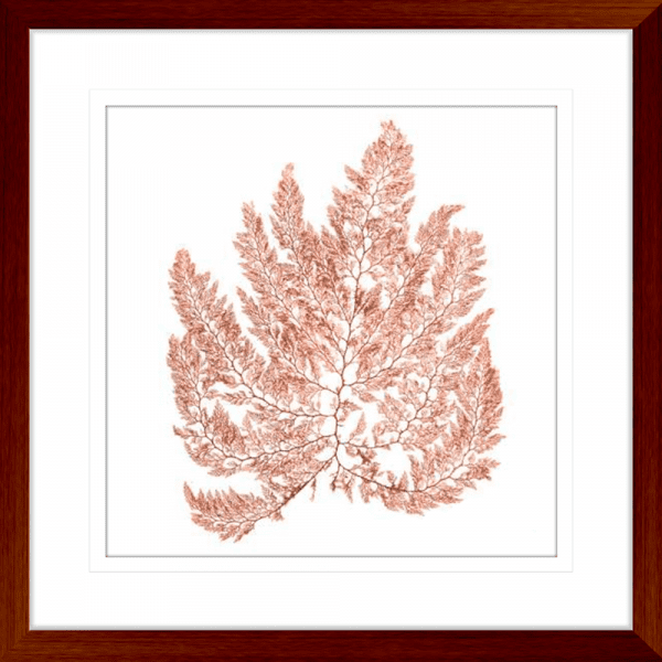 Pacific Sea Moss 04 | Teak Framed Artwork