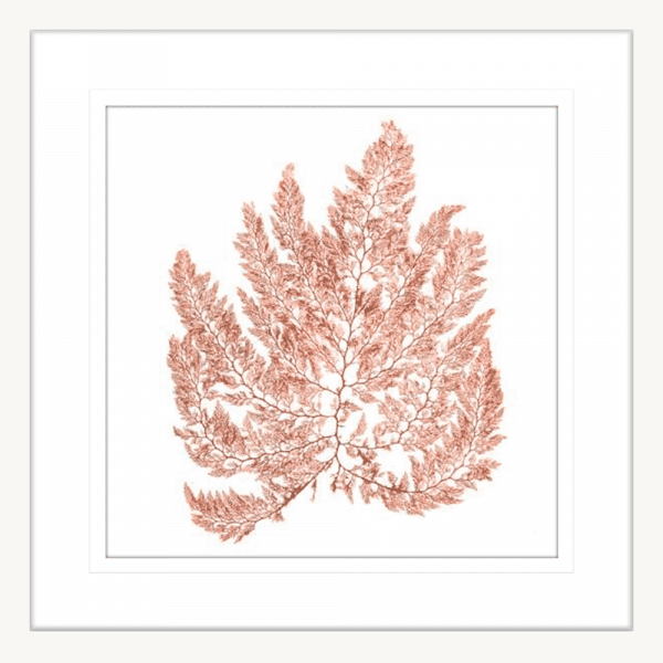 Pacific Sea Moss 04 | White Framed Artwork