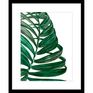 Tropical Breeze Palm 01 | Black Framed Artwork