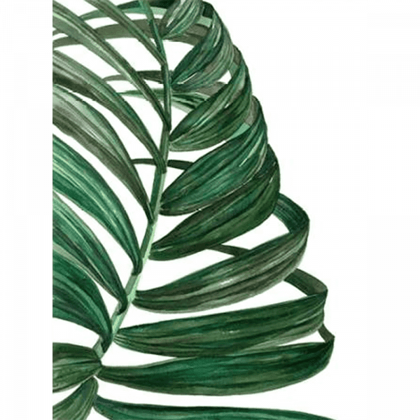 Tropical Breeze Palm 01 | Paper Print