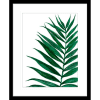 Tropical Breeze Palm 02 | Black Framed Artwork