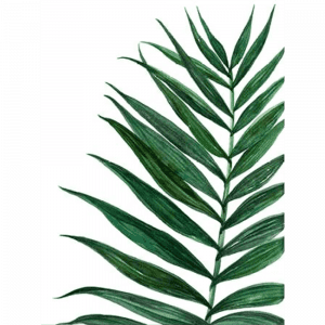 Tropical Breeze Palm 02 | Paper Print