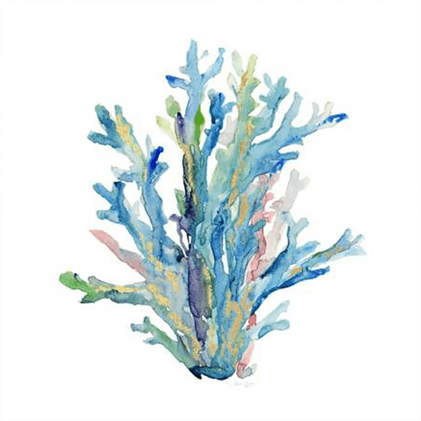 Sea Glass 03 | Print or Canvas