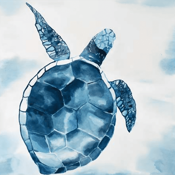 Swimming Turtle 02 | Print or Canvas