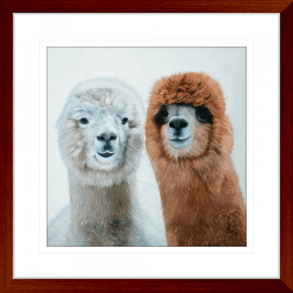 Lovable Llamas 01 | Teak Framed Artwork