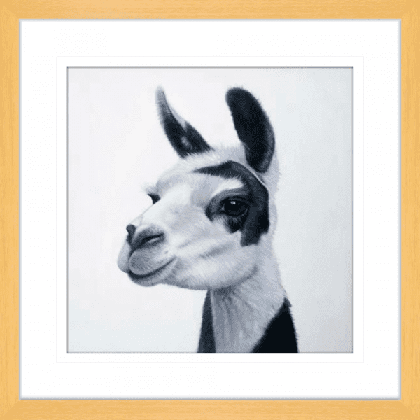 Lovable Llamas 02 | Oak Framed Artwork