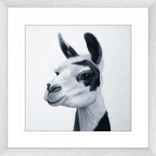 Lovable Llamas 02 | Silver Framed Artwork