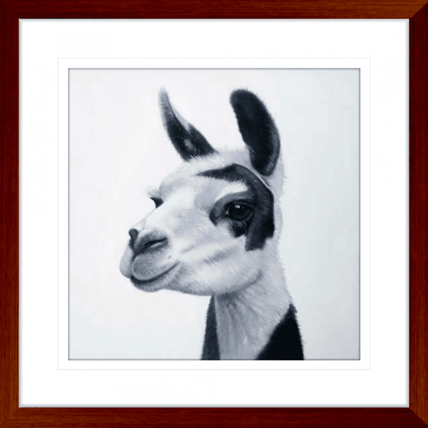 Lovable Llamas 02 | Teak Framed Artwork
