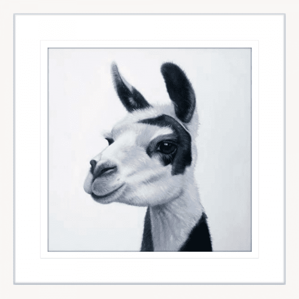 Lovable Llamas 02 | White Framed Artwork