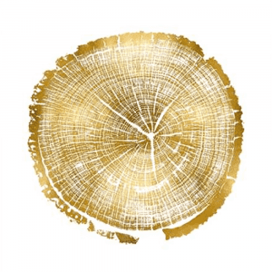 Timber Gold 01 | Print or Canvas