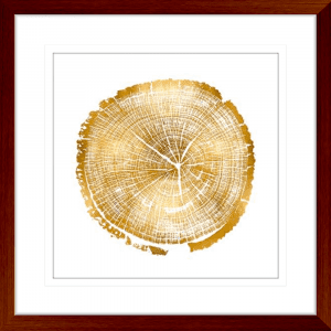 Timber Gold 01 | Teak Framed Artwork