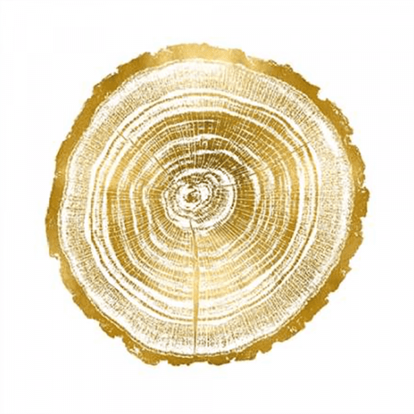 Timber Gold 02 | Print or Canvas