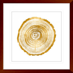 Timber Gold 02 | Teak Framed Artwork