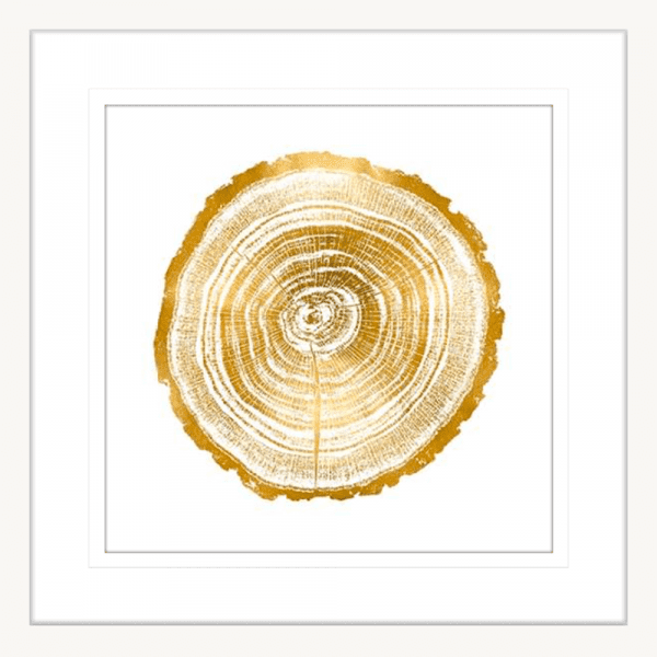 Timber Gold 02 | White Framed Artwork