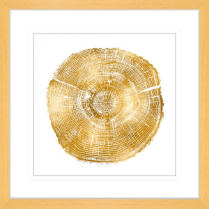 Timber Gold 03 | Oak Framed Artwork
